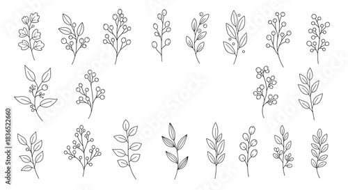 Elegant collection of botanical elements, including branches with berries and leaves, rendered in a delicate, dashed or stitched line art style.