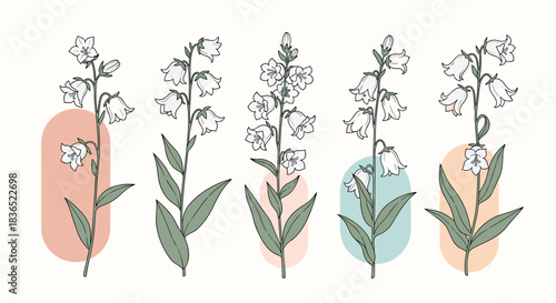 Modern botanical art featuring a set of hand-drawn bluebell flowers overlaid on soft, abstract pastel-colored shapes for a contemporary floral design.