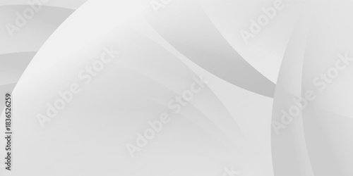 Gray tone color and white color and black color background abstract art vector. eps10