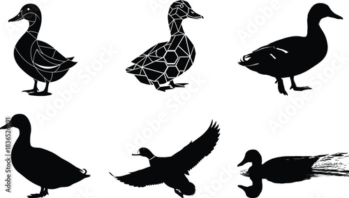 Silhouette collection of ducks in various poses on a white background
