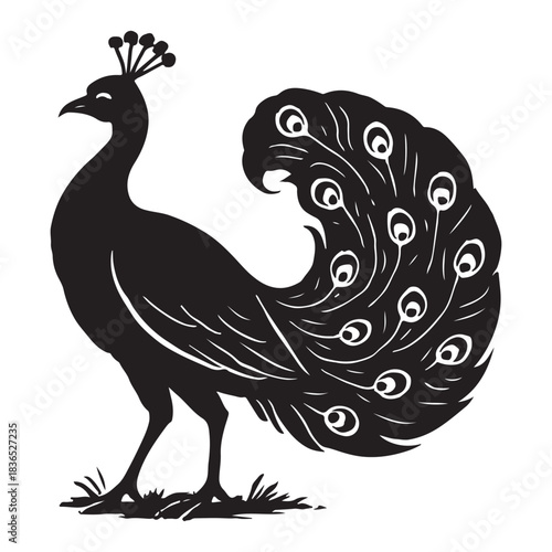 Elegant peacock stands proudly displaying ornate tail feathers in grandeur.