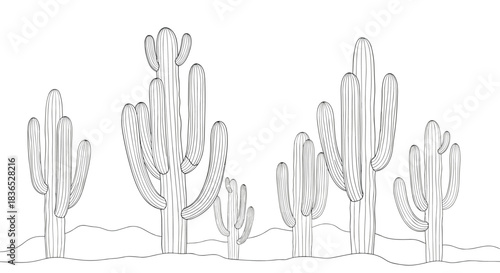 Stylized black and white line art illustration of a desert landscape featuring several tall saguaro cacti on sandy ground.