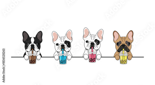 Cute illustration of four French bulldogs in different colors peeking over a line while drinking colorful bubble tea boba drinks.