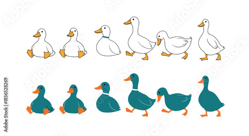 Adorable collection of cute cartoon ducks in white and teal, illustrated in various poses like sitting, walking, and standing.