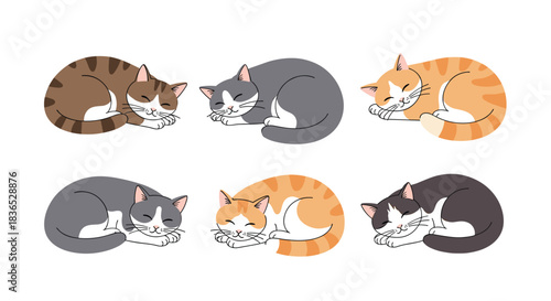 Adorable set of six sleeping cartoon cats with different coat colors and patterns, curled up in a cozy and peaceful manner.