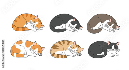 Charming collection of six different cartoon cats sleeping peacefully, showcasing various fur colors and patterns like tabby and bicolor.
