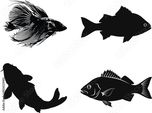 Four fish silhouettes in black and white linocut style illustration