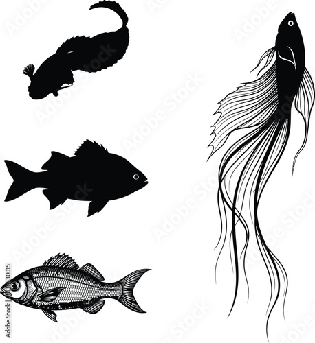 Four aquatic animals mouse shrimp and two fish in black and white