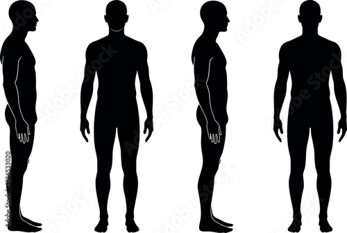 Human body silhouette set with front, back, left, right views for anatomy, fitness, medical, posture, and design reference.