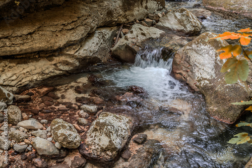 Over millions of years, the Orfento River (in the municipality of Caramanico Terme) has carved out a narrow gorge now covered by dense riparian vegetation featuring willows, ferns, and mosses.