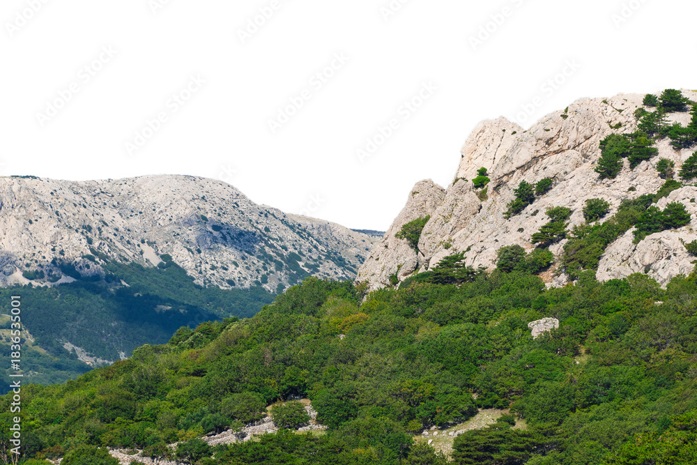 Obraz premium Majestic mountain landscape with rocky peaks and lush forest. Isolated object.