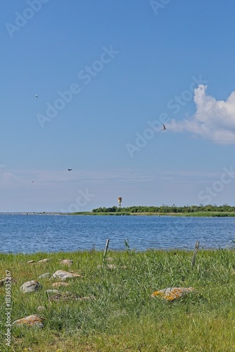 Coastal baltic landscape featuring a small day beacon or minor lighthouse situated on a low, scrubby Vahase saar island across a body of water in summer with clouds in the sky, Abruka,Saaremaa,Estonia