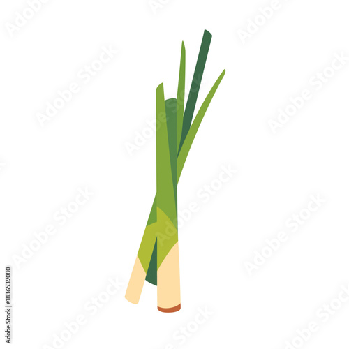 Fresh lemongrass stalk aromatic citrus herb, isolated flat style vector illustration