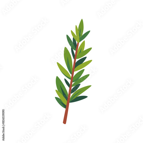 Fresh green rosemary aromatic herb sprig, isolated flat style vector illustration