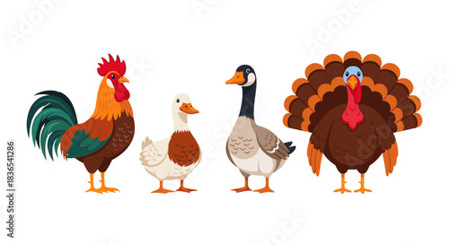 Farm animal collection featuring rooster, duck, goose, and turkey in flat cartoon style