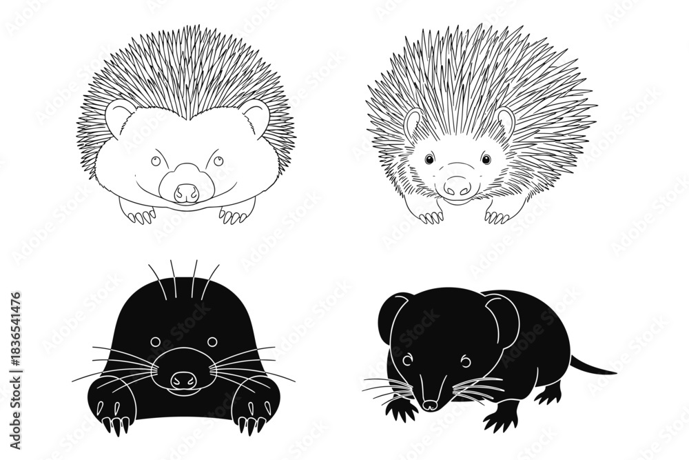 Obraz premium Black and white animal illustrations: hedgehogs, mole, shrew in linear style