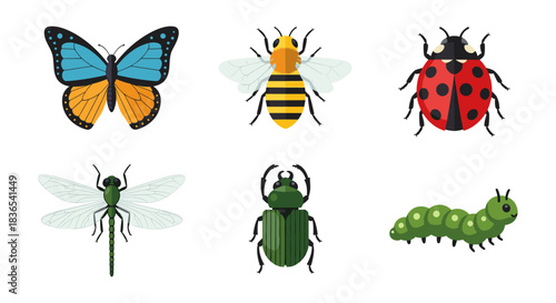 Colorful insects collection: butterfly, ladybug, beetle, dragonfly, bee, caterpillar