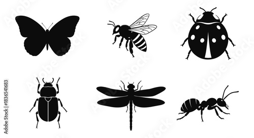 Silhouette collection of common insects: butterfly, bee, ladybug, beetle, dragonfly, ant