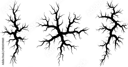 Three black silhouette bare tree branches against a white background tree branch silhouette winter