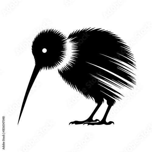 Kiwi bird silhouette with feathered details, kiwi bird. Kiwi bird image is a simple drawing in black ink. Design includes kiwi bird for educational materials about flightless birds from New Zealand.