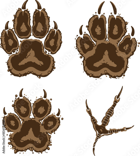 Brown animal paw prints and bird claw on white background