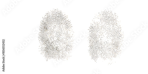 Two grey human fingerprints on a white background, a concept of identity and security.