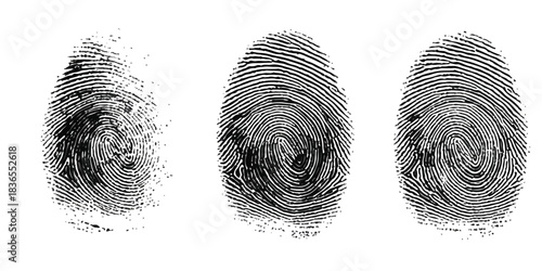 Three distinct black fingerprints showcasing unique human identification on white