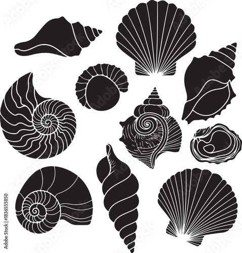 Black and white collection of various seashell silhouettes