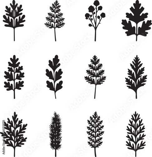 Black Silhouette Plant Sprigs and Leaves Collection