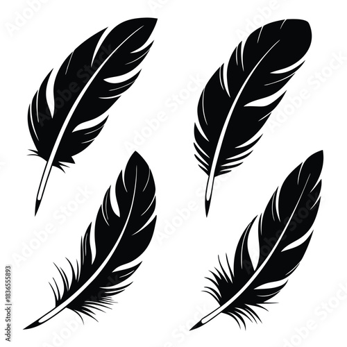 Four detailed black feather silhouettes artistically arranged on a crisp white background invite versatile creative applications