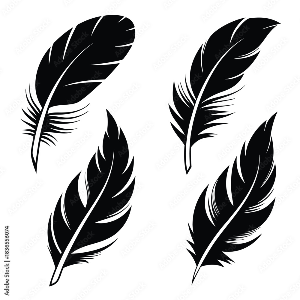 Fototapeta premium Various stylish feathers shown as black silhouettes are artistically grouped together effectively