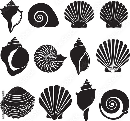Twelve Black Silhouettes of Various Seashells marine