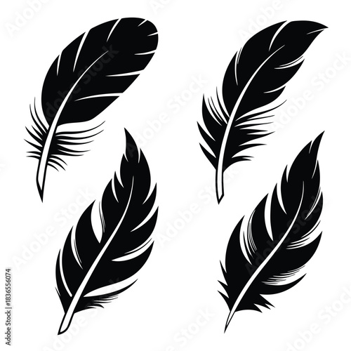 Various stylish feathers shown as black silhouettes are artistically grouped together effectively