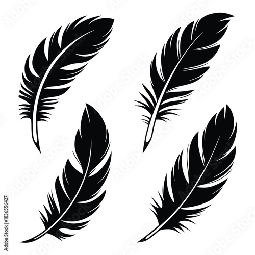 Silhouette art shows four plumes arranged diagonally with delicate, detailed textures on a white background