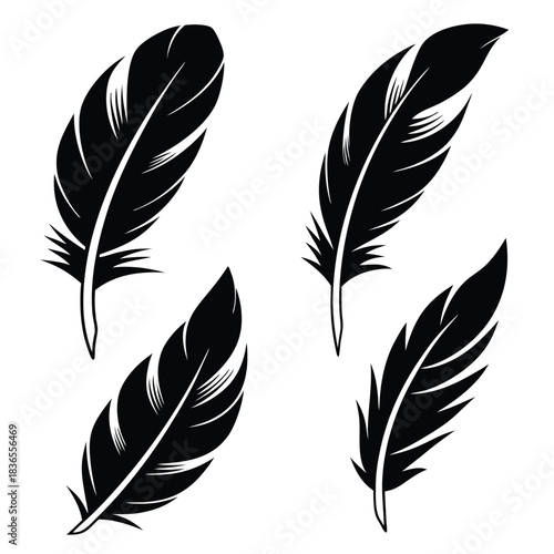 Four feather silhouettes in black are featured against a clean, bright white background