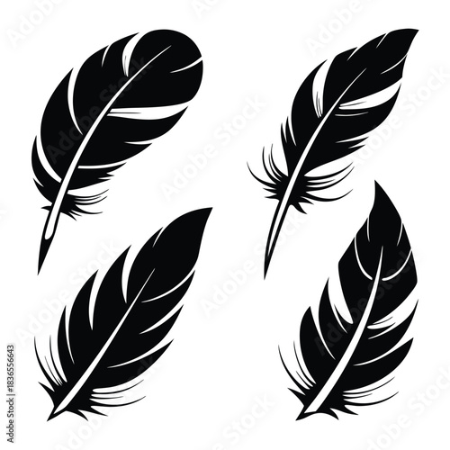 Stylized black feather set shows detailed plume shapes in a simple, minimal composition