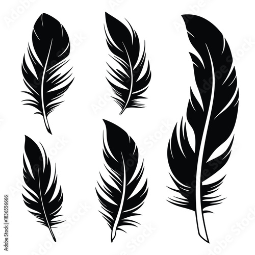 Black feathers with intricate barbs are gracefully displayed on a clean white background