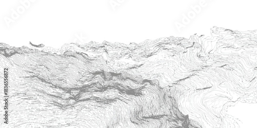 Abstract topographic line art with dynamic contours and subtle landscape elements