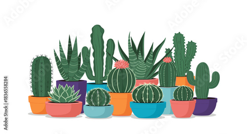 Collection of various decorative cacti and succulent plants in colorful pots, creating a beautiful indoor garden composition.