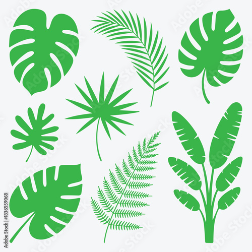 Minimalist Silhouette Pack of Jungle and Rainforest Leaves