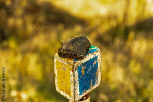 A piece of ancient pottery lies on the tip of a topographical marker on a sunny day in late October.