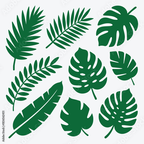 Minimalist Silhouette Pack of Jungle and Rainforest Leaves