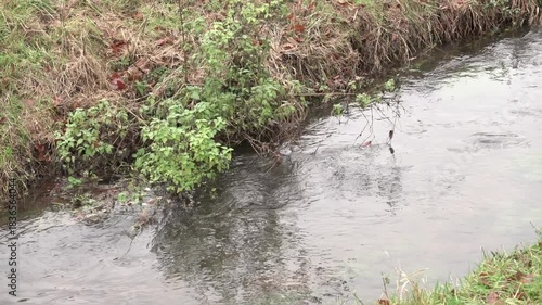 river water flowing through the grass