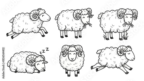 Adorable Collection of Hand-Drawn Sheep Illustrations in Various Poses on White Background