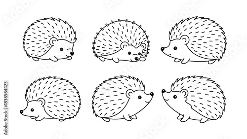 Delightful hand-drawn hedgehog illustration, charming and minimalist design for various creative