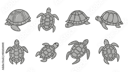 Collection of Adorable Cartoon Turtle Illustrations in Different Poses and Angles