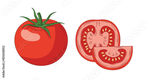 Detailed hand-drawn style illustration of a whole ripe red tomato next to a cross-section slice and a wedge on a white background.
