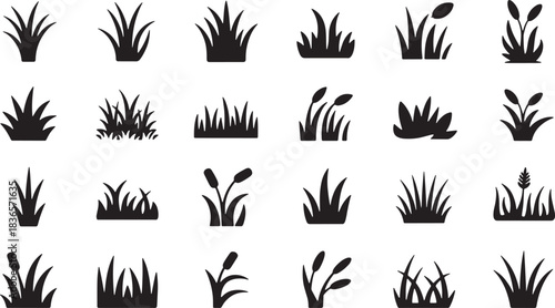 Collection of silhouette grass clumps and reeds