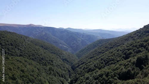 Deep green forested carpathian mountain valley aerial view