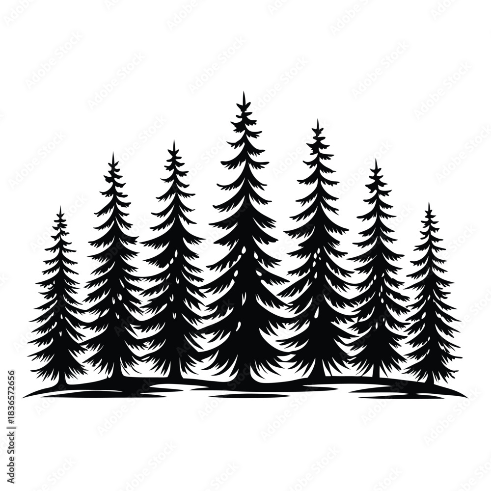 Obraz premium Silhouetted Evergreen Trees, Black Forest, Pine Wood, Isolated Conifers, Nature Landscape